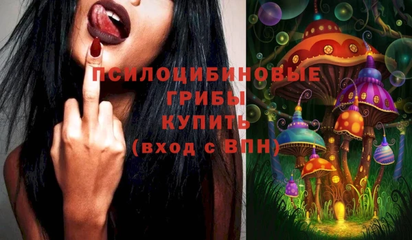 mdpv Горняк