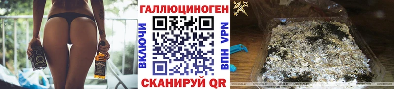 где купить   Шарья  Галлюциногенные грибы GOLDEN TEACHER 